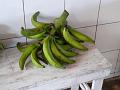 bananas - big
